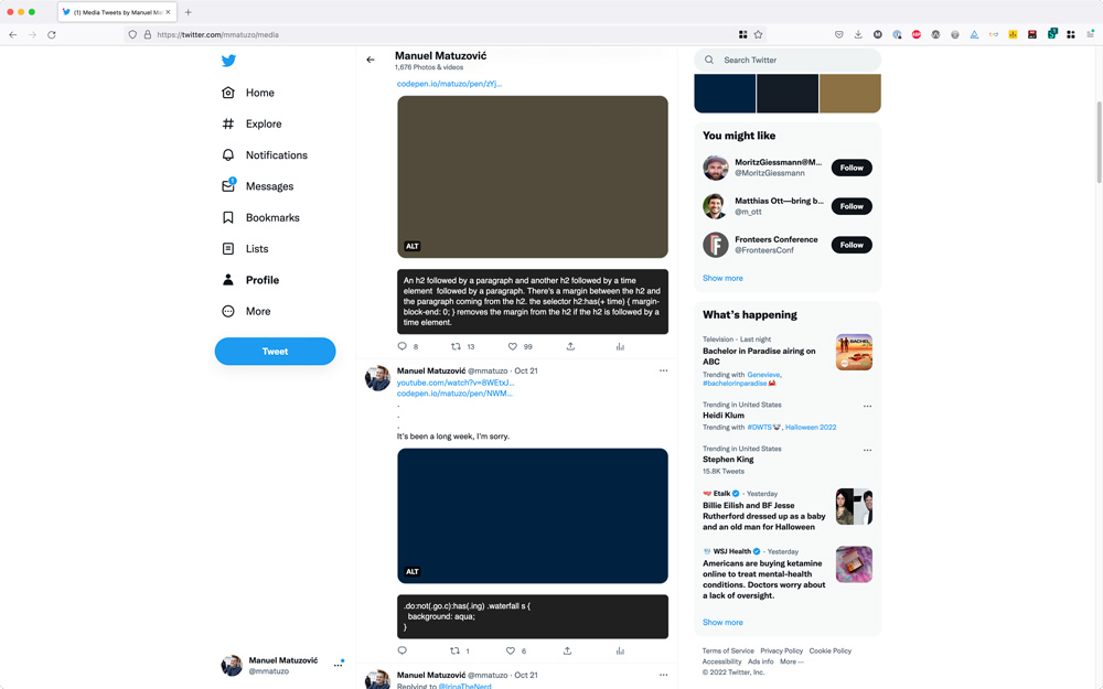 Screenshot of my suspended Twitter profile. Two posts with images, but instead of the images you only see a placeholder.